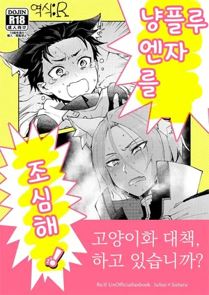 [Sonic (PANA)] Nyan-fluenza ni Ki o Tsukete! | 냥플루엔자를 조심해! (Re:Zero kara Hajimeru Isekai Seikatsu) [Korean]