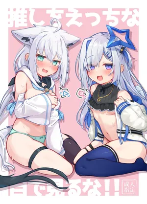 [Tomiyoka Seishijou (Tomiyo)] Oshi o Ecchi na Me de Miruna! (Shirakami Fubuki, Amane Kanata) [Digital]