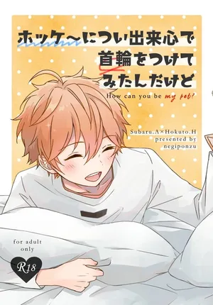 [negiponzu (okaki)] ホッケ〜につい出来心で首輪をつけてみたんだけど (Ensemble Stars!) [Digital]