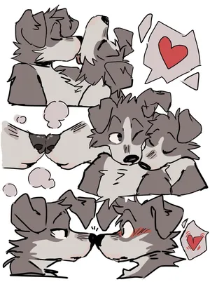 20258270344