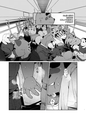 Is this acceptable in the city?