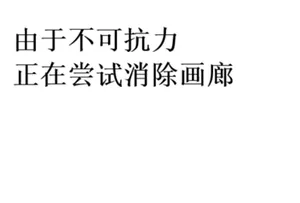 正在尝试消除画廊
