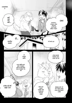 Chocolate Chips & Cookie 2