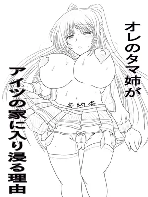 [タマコロガシ] チャラ男のセフレになるタマ姉の話 (トゥハート2)