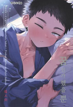 [Ebiharami (Yoruge)] 꿈인가 했을 뿐 Yume ka to motori (Touken Ranbu)