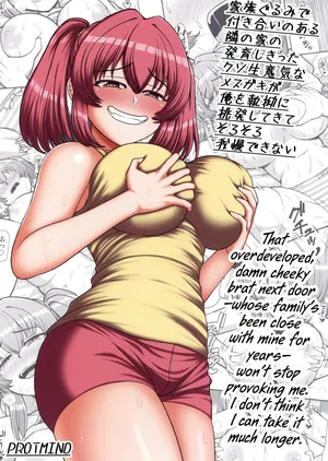 (C100) [PROTMIND] Kazokugurumi de Tsukiai no Aru Tonari no Ie no Hatsuiku shikitta Kuso Namaiki na Mesugaki ga Ore o Shitsuyou ni Chouhatsu shite kite Sorosoro Gaman Dekinai [English] [CulturedCommissions]
