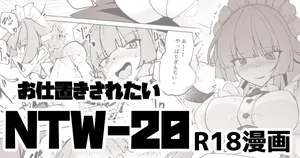 [ミナミ・シン] NTW-20
