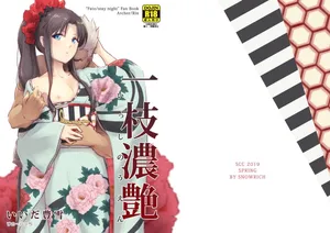 [Snowrich (Iida Toyoyuki)] Isshi Nouen (Fate/stay night) [Digital]