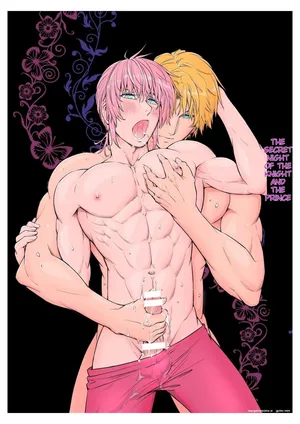 The Knight and the Prince's Secret Night (Kishi to ōji no himitsu no yoru) [Pink Shark]