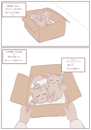 拾った子猫が女の子になりました [BluvyDev]