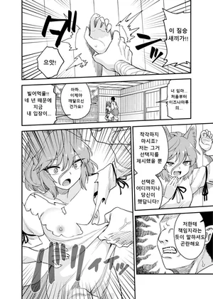 [Fuuzasa] Kawaisou na Tsukasa (Touhou Project) [korean]