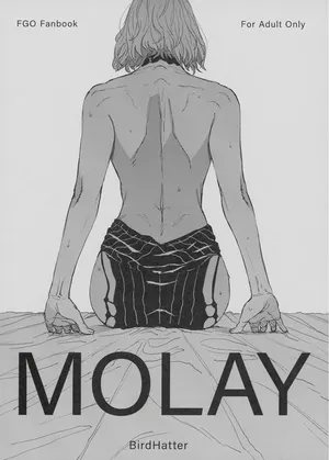 [BirdHatter] MOLAY (Fate Grand Order) [DL版]