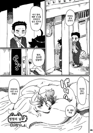 (Kemokko Lovers 5) [Mayoineko (Nezumin)] Inuman 2 - Oinu-sama | 멍멍이 님 [Korean]