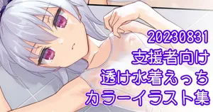 [Kawakami Rokkaku] 透け水着銀ちゃんH絵集