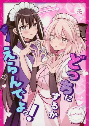 (C108) [apulicote (anko)] Docchi ni Suru ka Erande yo! (Fate/Grand Order)