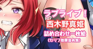 [Tina] ラブライブ！西木野真姫 詰め合わせ一枚絵 (ラブライブ!)