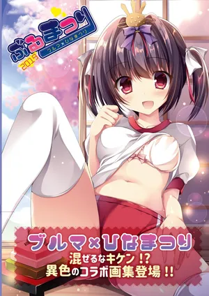 [Uribouzakkaten (Various)] Theme-Wake Gashuu 12 "Burumatsuri" [Digital]