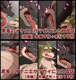 [Higirai] The Black Dragon's Sacrificial Mate (English)