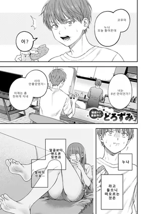 [Dorozumi] お姉ちゃんのせいだから (COMIC X-EROS #133) [Korean]