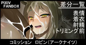 [ジョニー]  コミッション ロビン