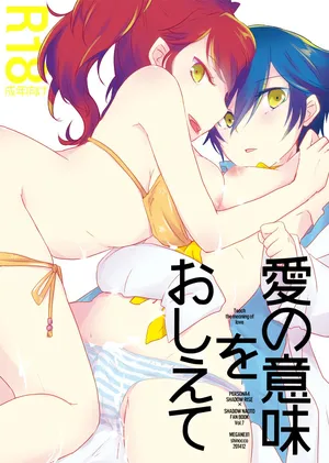 (C87) [MEGANE81 (Shinocco)] Ai no Imi o Oshiete | Teach the Meaning of Love (Persona 4) [English]